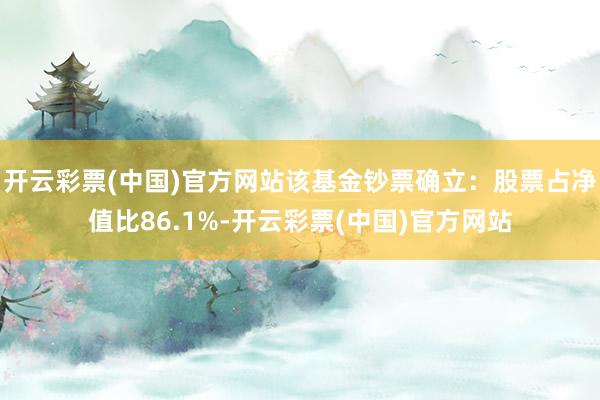 开云彩票(中国)官方网站该基金钞票确立：股票占净值比86.1%-开云彩票(中国)官方网站