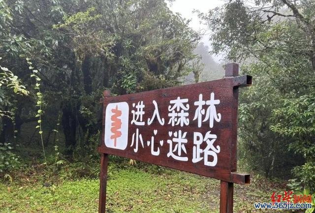 哀牢山改日半个月徒步团已报满 安全徒步引柔和