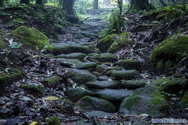 哀牢山改日半个月徒步团已报满 安全徒步引柔和